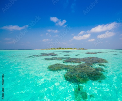 Maldives,  tropical sea background! © erainbow