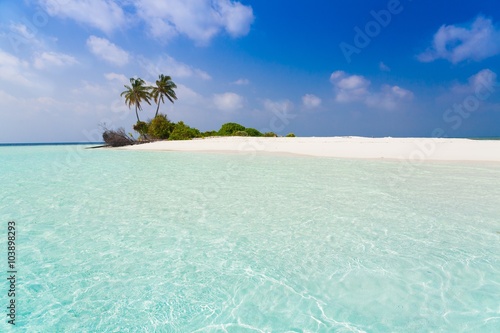 Maldives day tropical