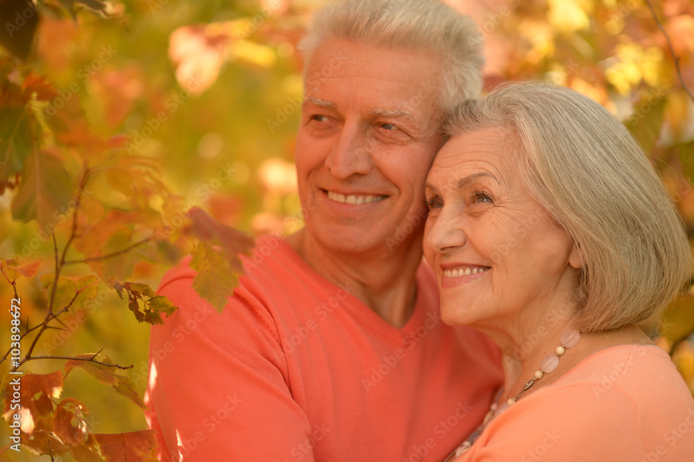 Portrait of a mature couple 