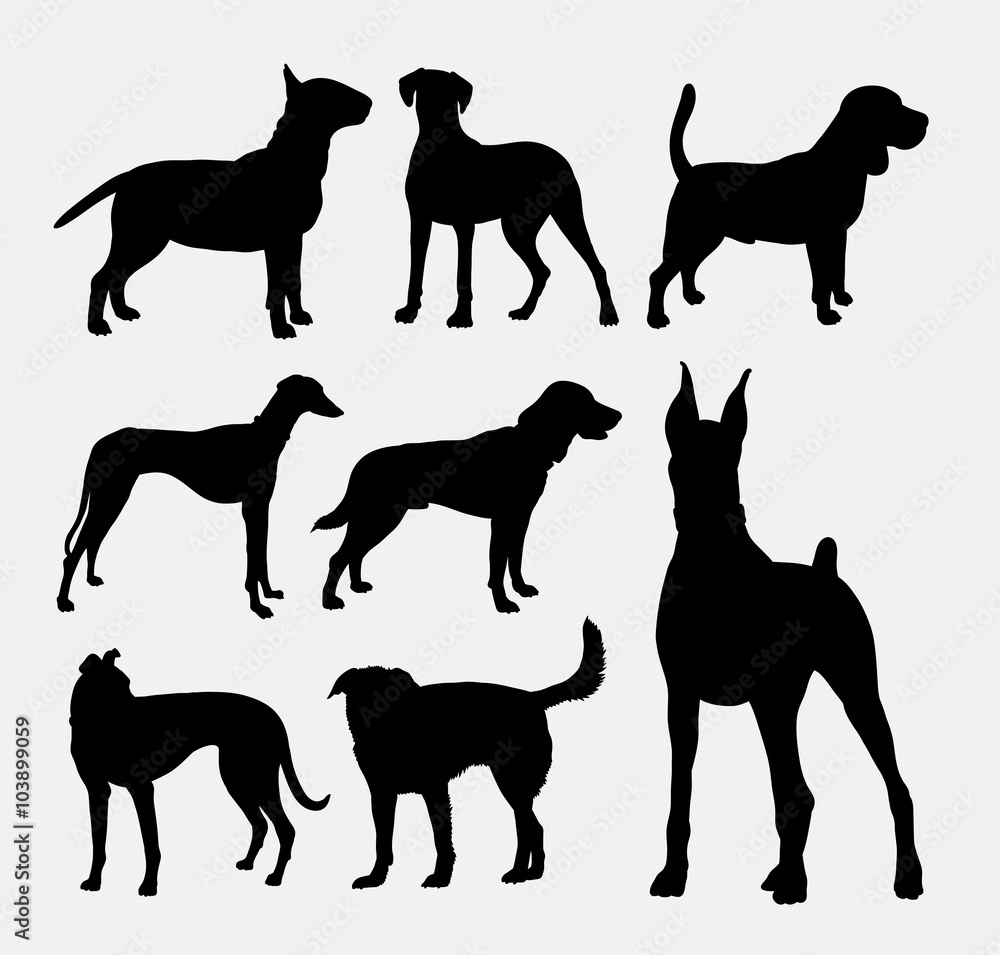 Dog pet animal silhouette 02. Good use for symbol, logo, web icon, mascot, sign, sticker design, or any design you wany. Easy to use.