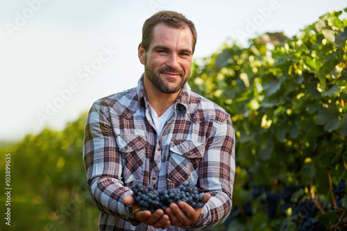 Foto Young winemaker in vineyard