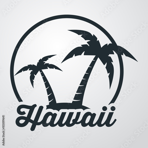 Icono plano Hawaii en isla en fondo degradado