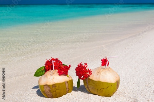 Maldives, coconuts red flowers