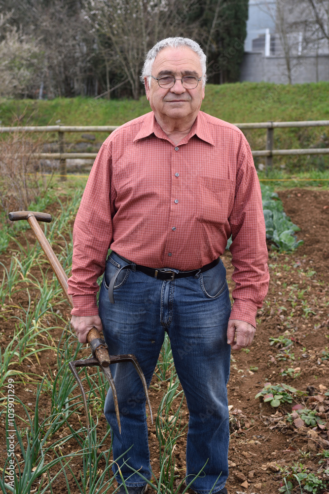 Fototapeta premium portrait of a retired man in his vegetable garden