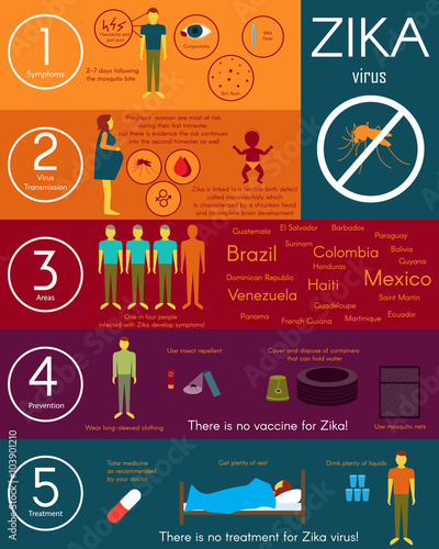 Zika virus infographic