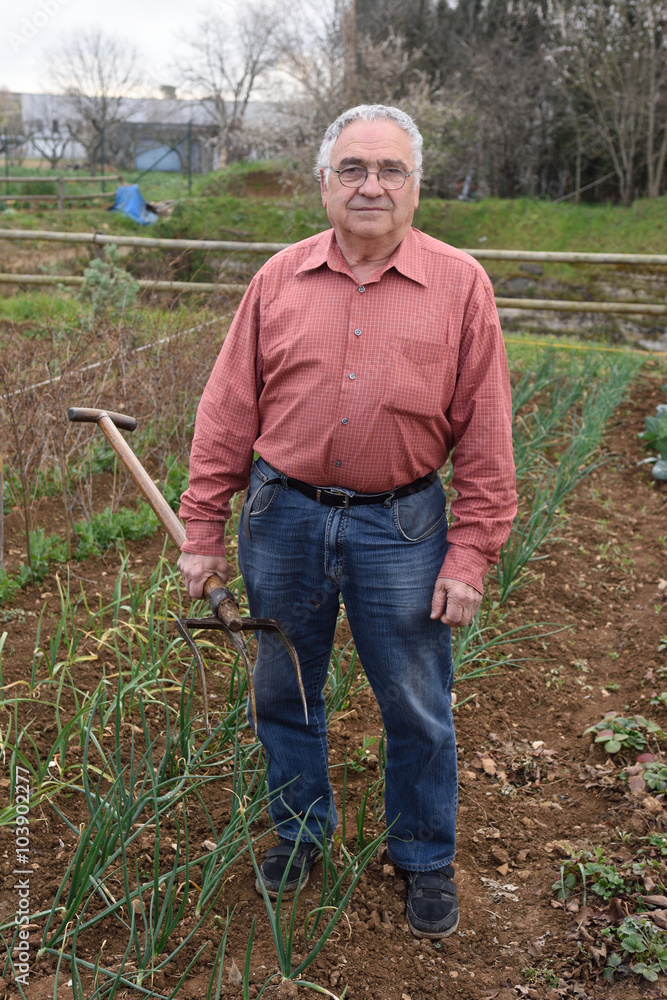 Fototapeta premium portrait of a retired man in his vegetable garden