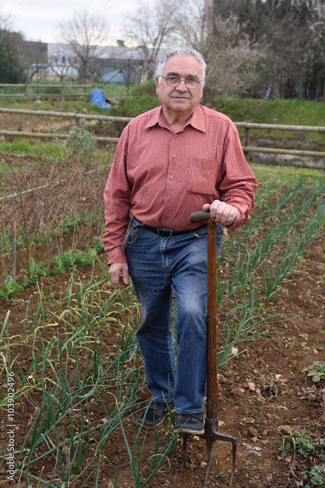 Fototapeta premium portrait of a retired man in his vegetable garden