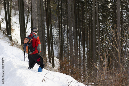 Fotografie, Obraz urinating hiker in the snow on a slope in a forest in the mountains