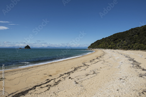 Playa de arena blanca con aguas cristalinas en el Parque Nacional de Abel Tasman  Nueva Zelanda