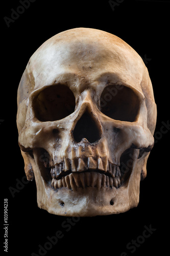 Human skull on black background photo