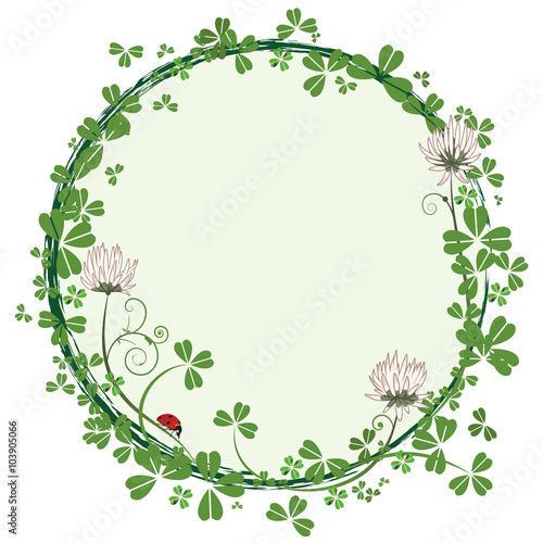 frame with flowers of clover