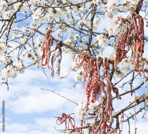 Spring holiday, Bulgaria photo