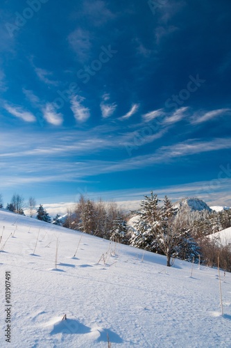Mountain day winter © erainbow