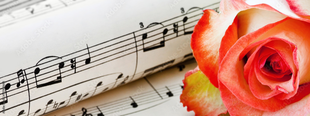 Naklejka premium Rose and note