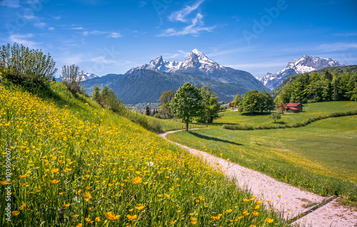 Idyllic landscape in the Alps with meadows and flowers