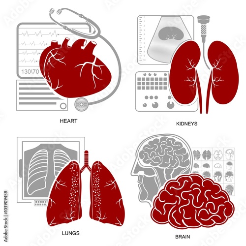 Four flat design medecine icon heart lungs brain kidneys and their diagnostic equipments