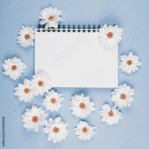 white flowers of chrysanthemum
