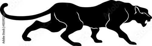 black Panther leopard cat walks