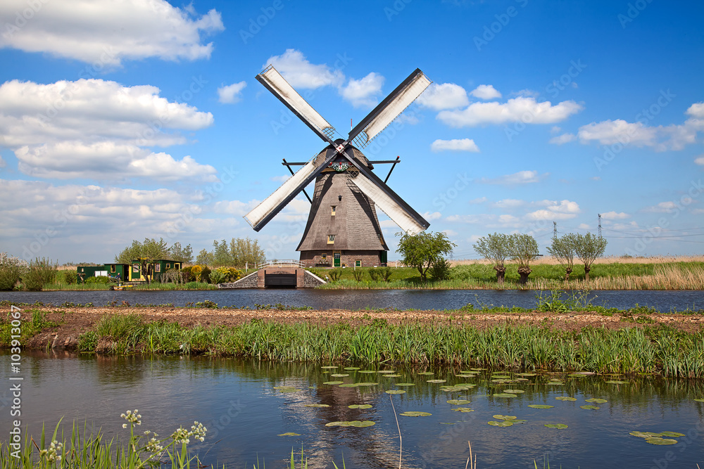 Fototapeta premium Windmills