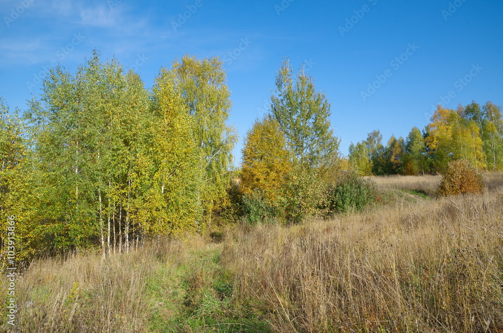 Autumn landscape in Sunny day