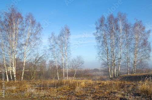 Autumn landscape with hoarfrost