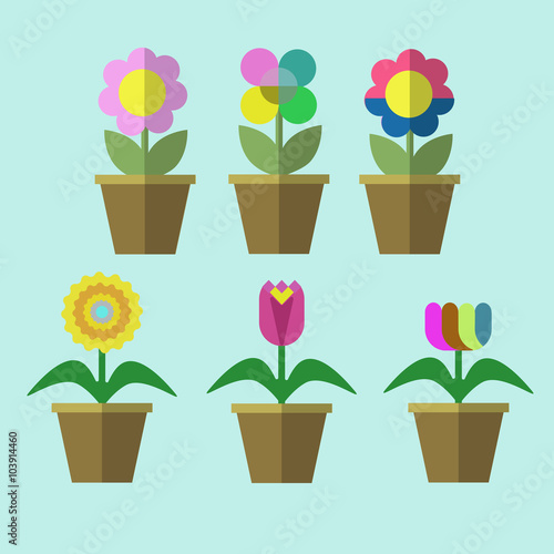 flowers