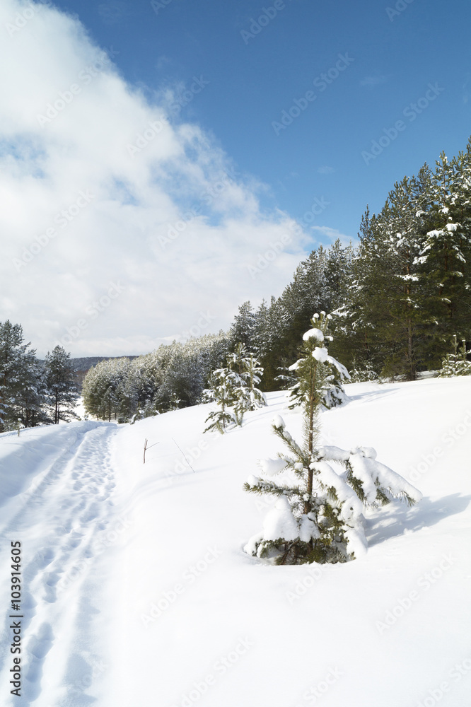Obraz premium Rural landscape in winter