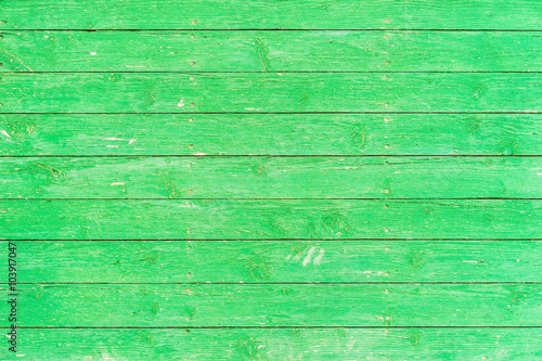 Holz Farbe Grün Hintergrund Textur Leer