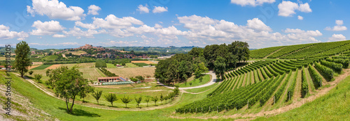 Green fields and vineyards of Italy.