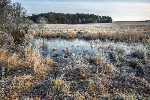 ein Februarmorgen im Land Brandenburg