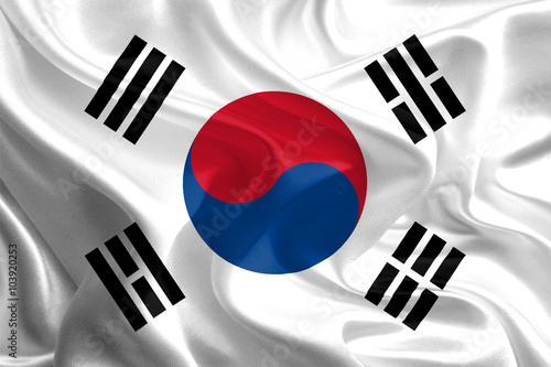 Waving Fabric Flag of South Korea