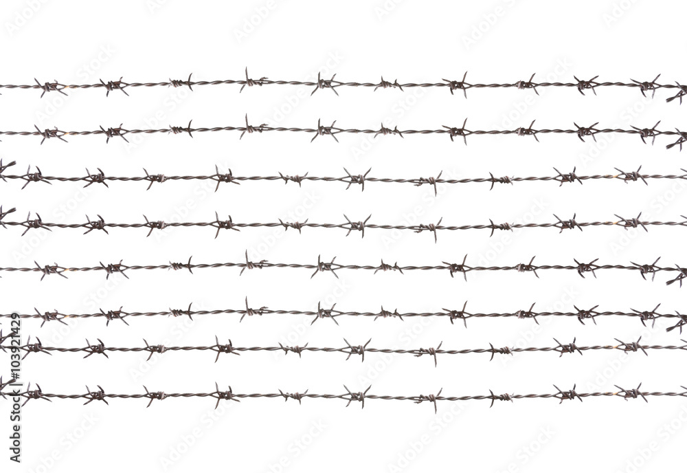 barbed wire , isolated on white background barbed wire , isolated on white background