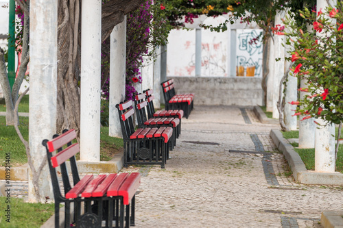 Beautiful view of a relaxing urban park with bougainvillea flowe