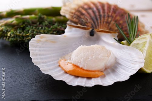 Raw fresh scallops in the shell close up in a black plate with l