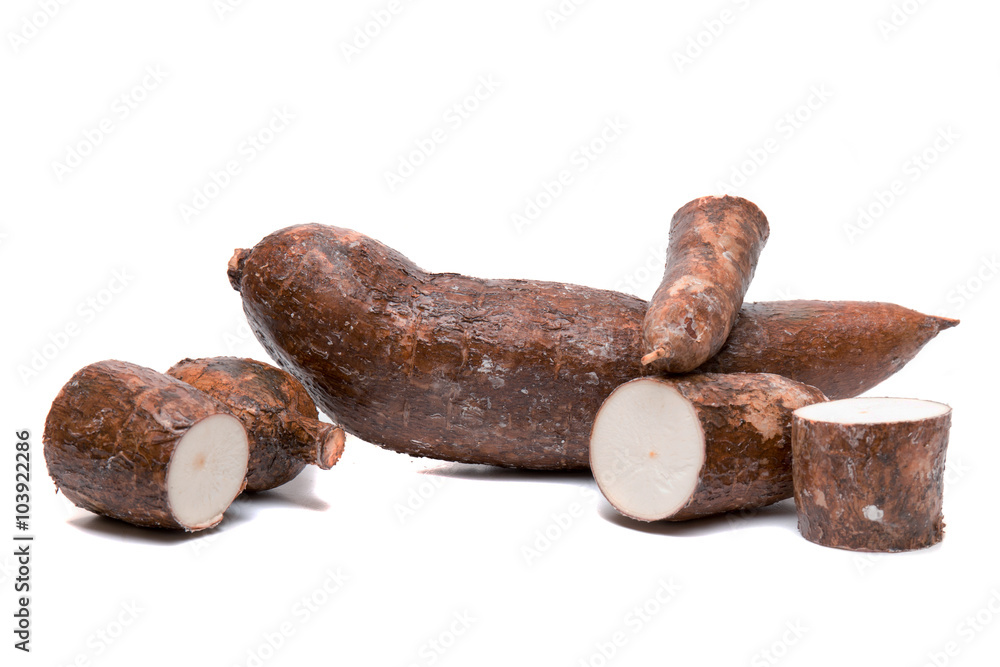 Cassava root isolated on a white background Cassava root isolated on a white background
