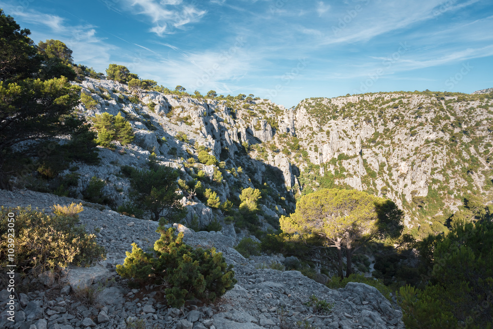 Beautiful nature of Calanques on azure coast of France