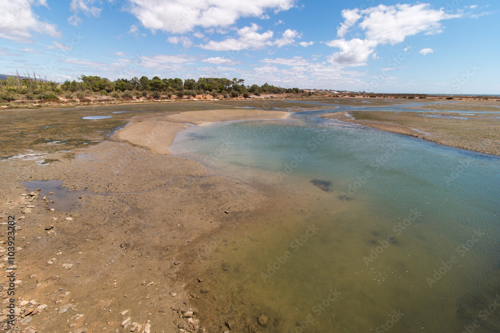 Wide view of the Ria Formosa marshlands located in the Algarve, Portugal.