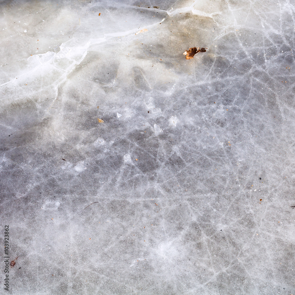 Fototapeta premium frozen puddle in cold winter day