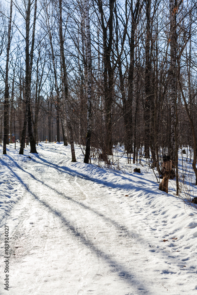 Fototapeta premium slippy footpath in urban park in winter