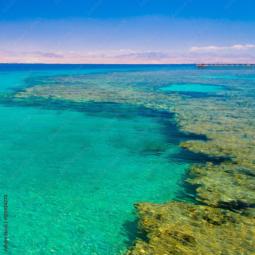 Obraz premium red sea day