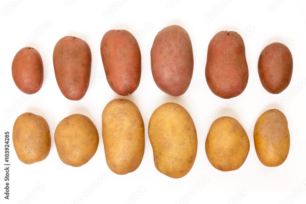 Obraz premium potatoes isolated on a white background.