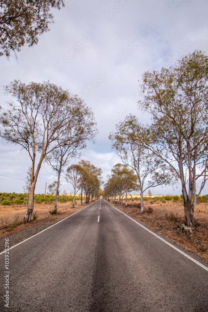 Long asphalt road on the beautiful countryside. Long asphalt road on the beautiful countryside.