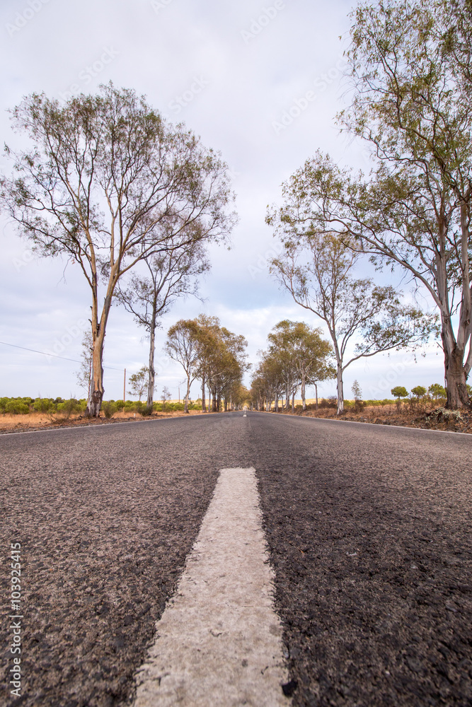 Fototapeta premium Long asphalt road on the beautiful countryside.