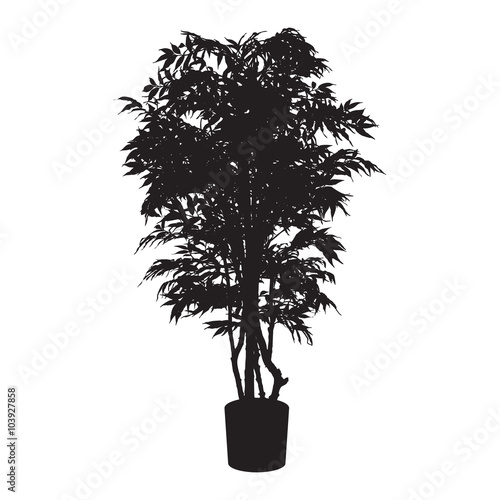 Office and house plant silhouette