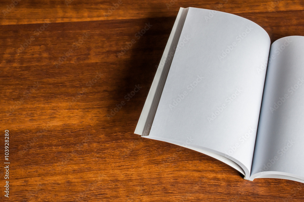 Fototapeta premium blank book