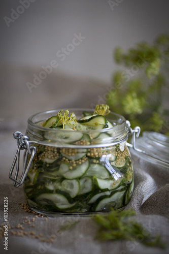  Pickled Cucumber