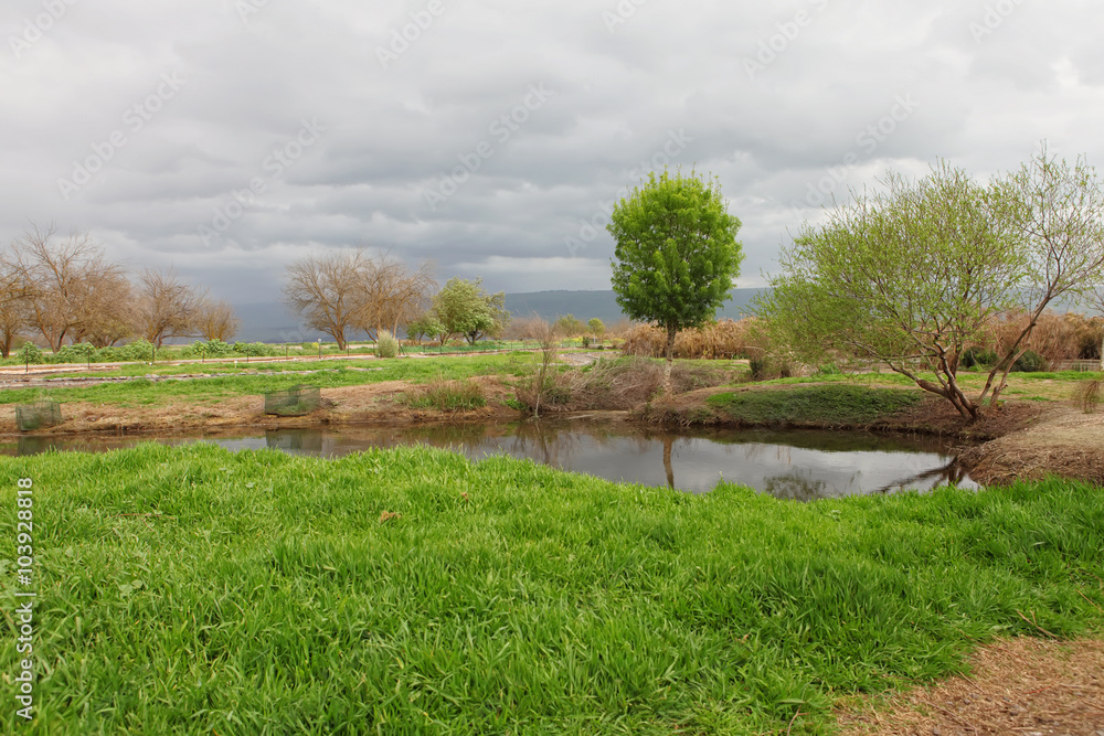 Obraz premium Early Spring in the Park.Clouds Before the Rain Began