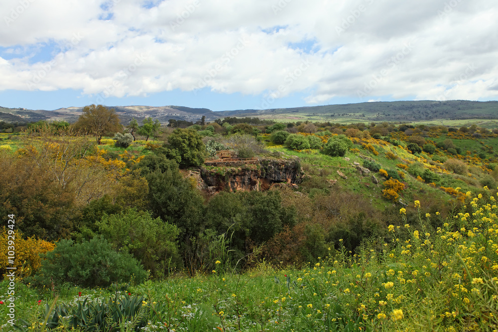 Wild Landscape With Golan Heights,Israel Wild Landscape With Golan Heights,Israel