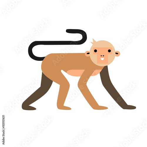 Cute cartoon capuchin monkey