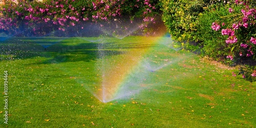 watering  sprinkler  lawn